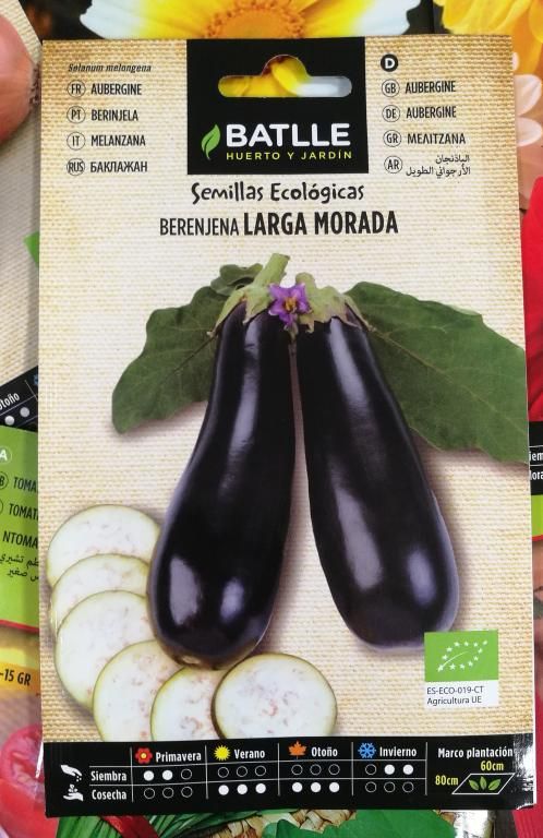 Berenjena Larga Morada Ecol Gica Gr Fitoagr Cola