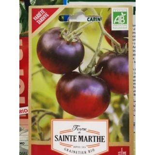 Semillas Batlle Tomate Coeur DE Boeuf : : Jardin