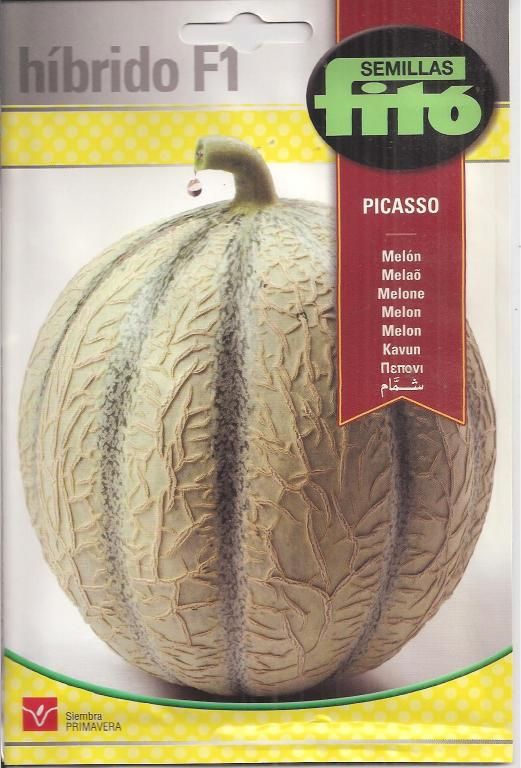 MELON PICASSO F1 (60 Semillas).